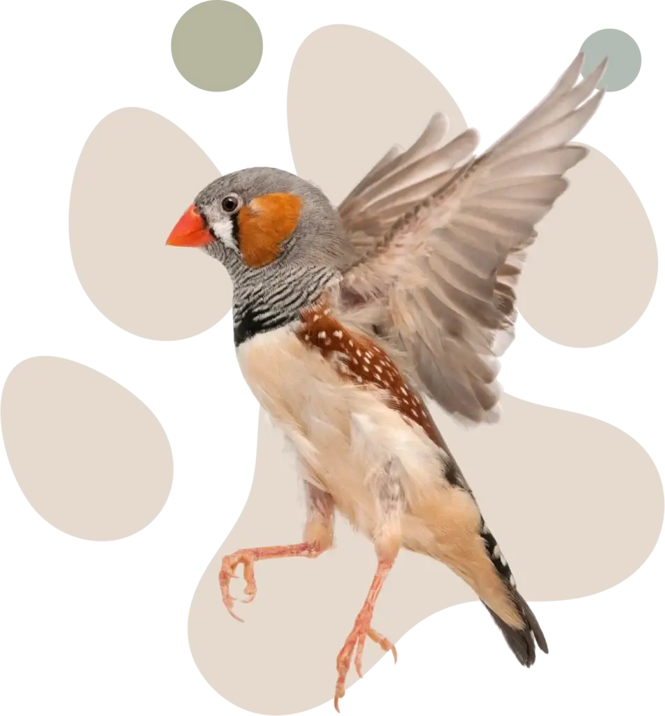 Tierarztpraxis Erling Lünen Vogel