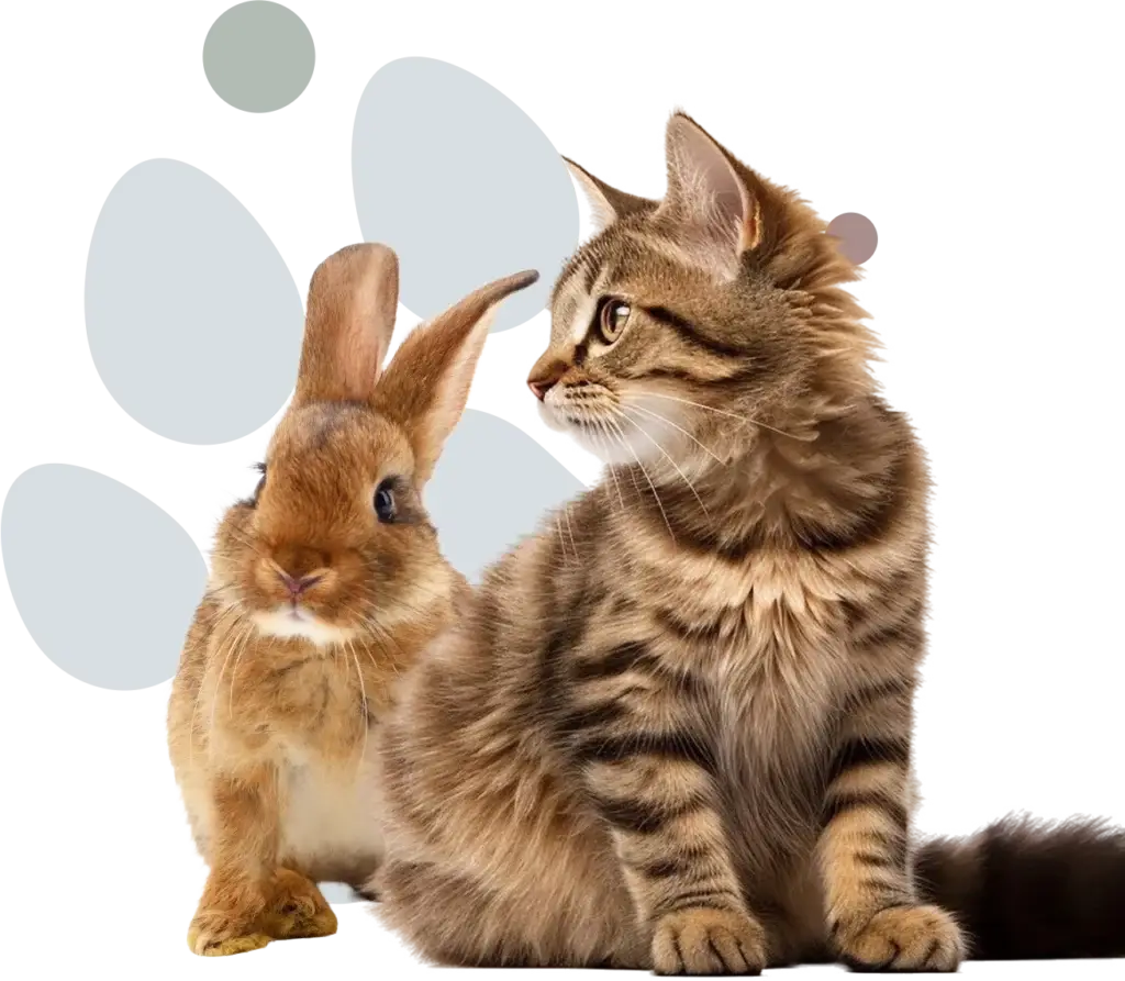 Tierarztpraxis Erling Lünen Katze Hase