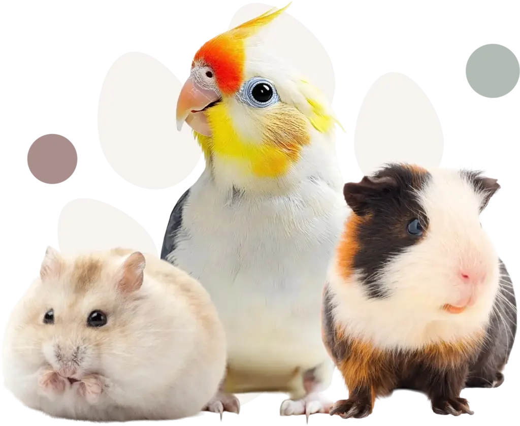 Tierarztpraxis Erling Lünen Kleintiere