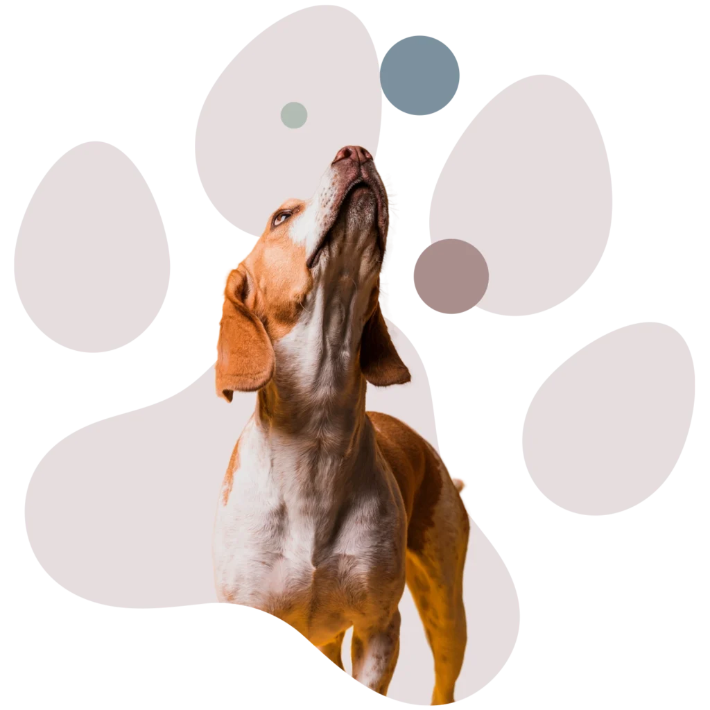 Tierarztpraxis Erling Lünen Hunde