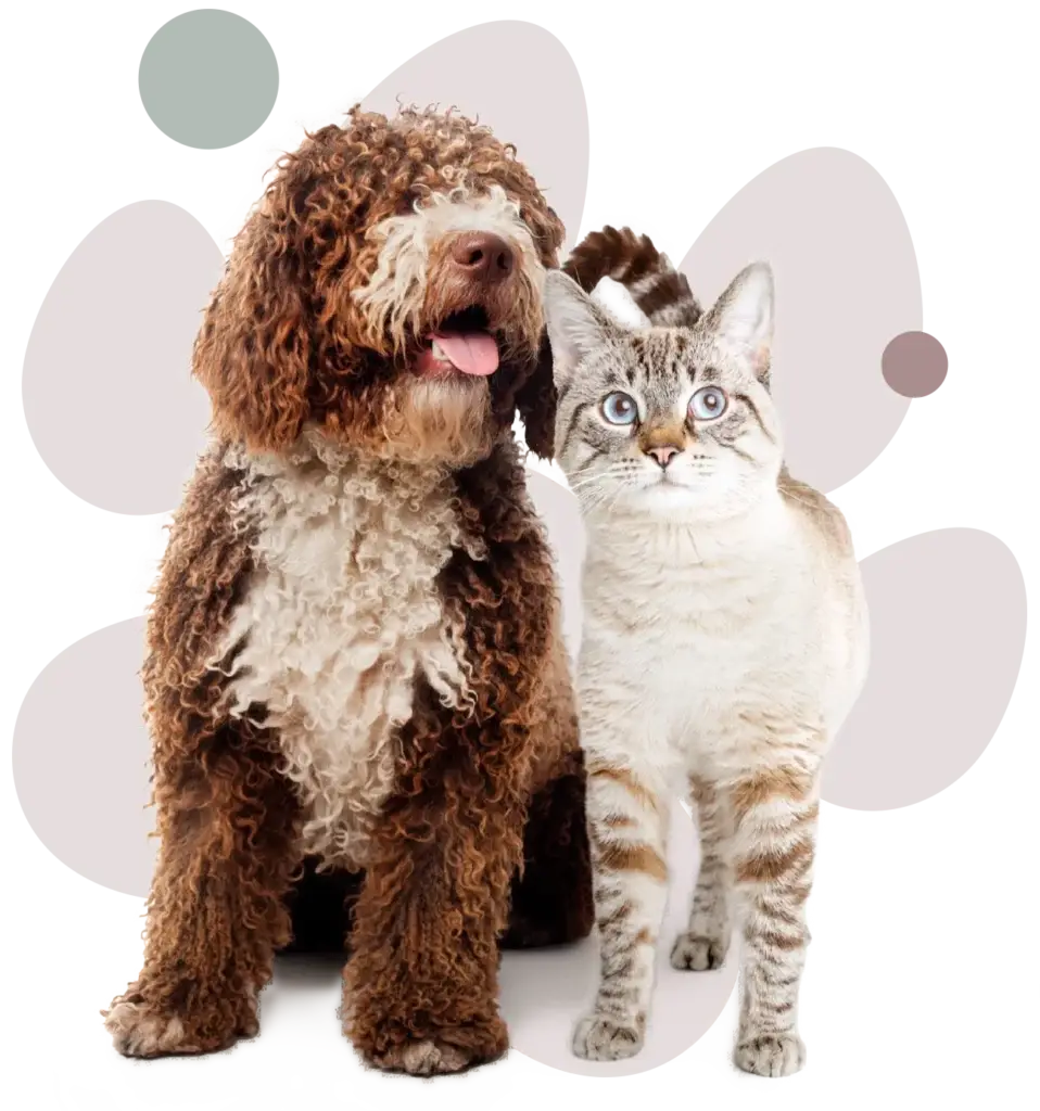 Tierarztpraxis Erling Lünen Tiere