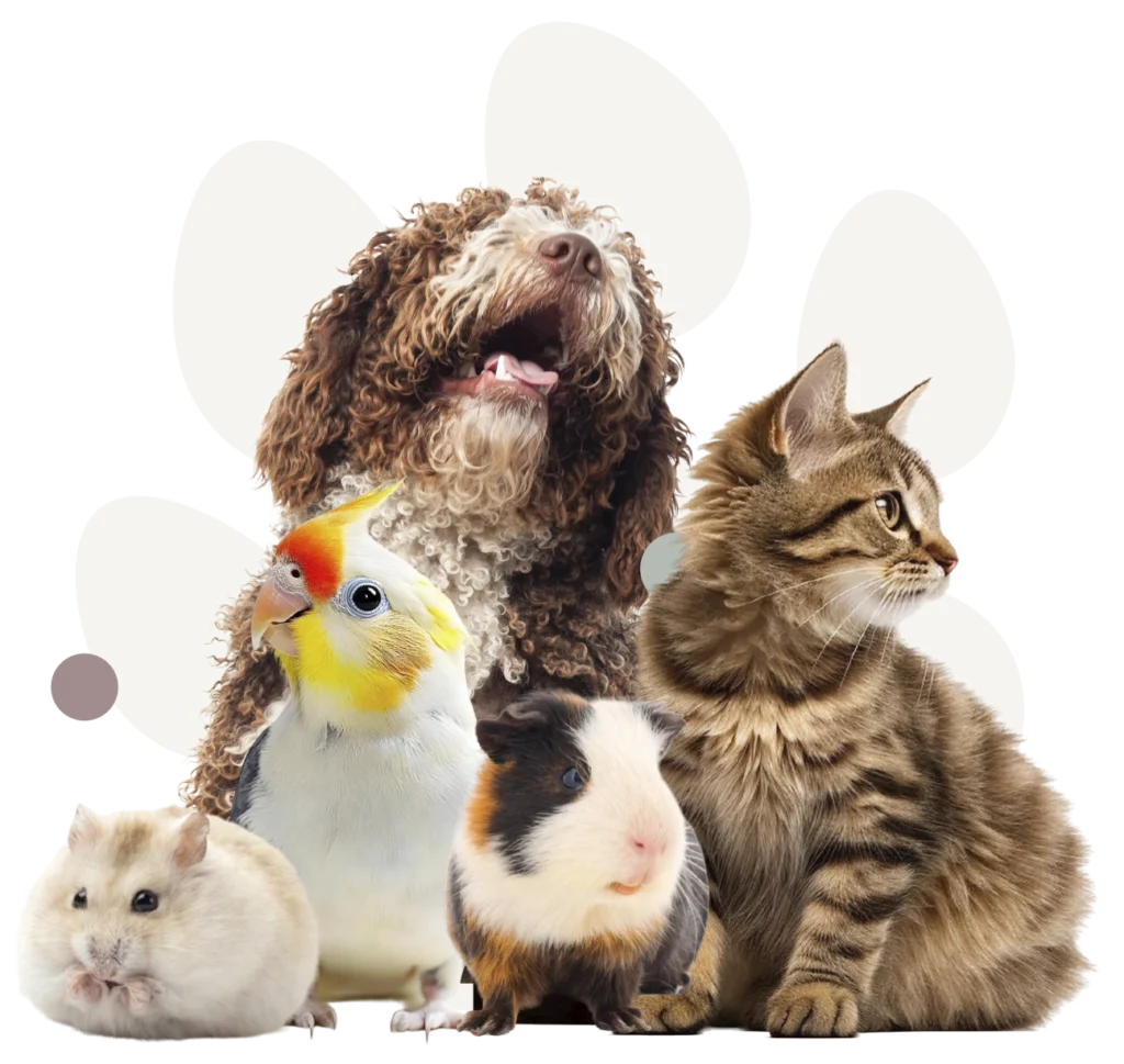 Tierarztpraxis Erling Lünen Tiere