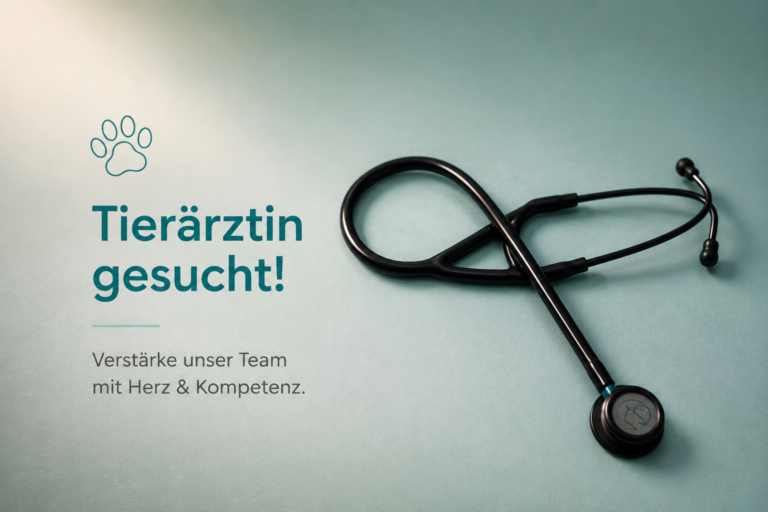 Tierarztpraxis Erling sucht eine Tierärztin