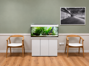 Das neue Aquarium